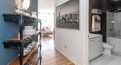 Apartment foyer leading to a modern bathroom at Fisher Building Apartments in Chicago, featuring sleek decor and a clean design