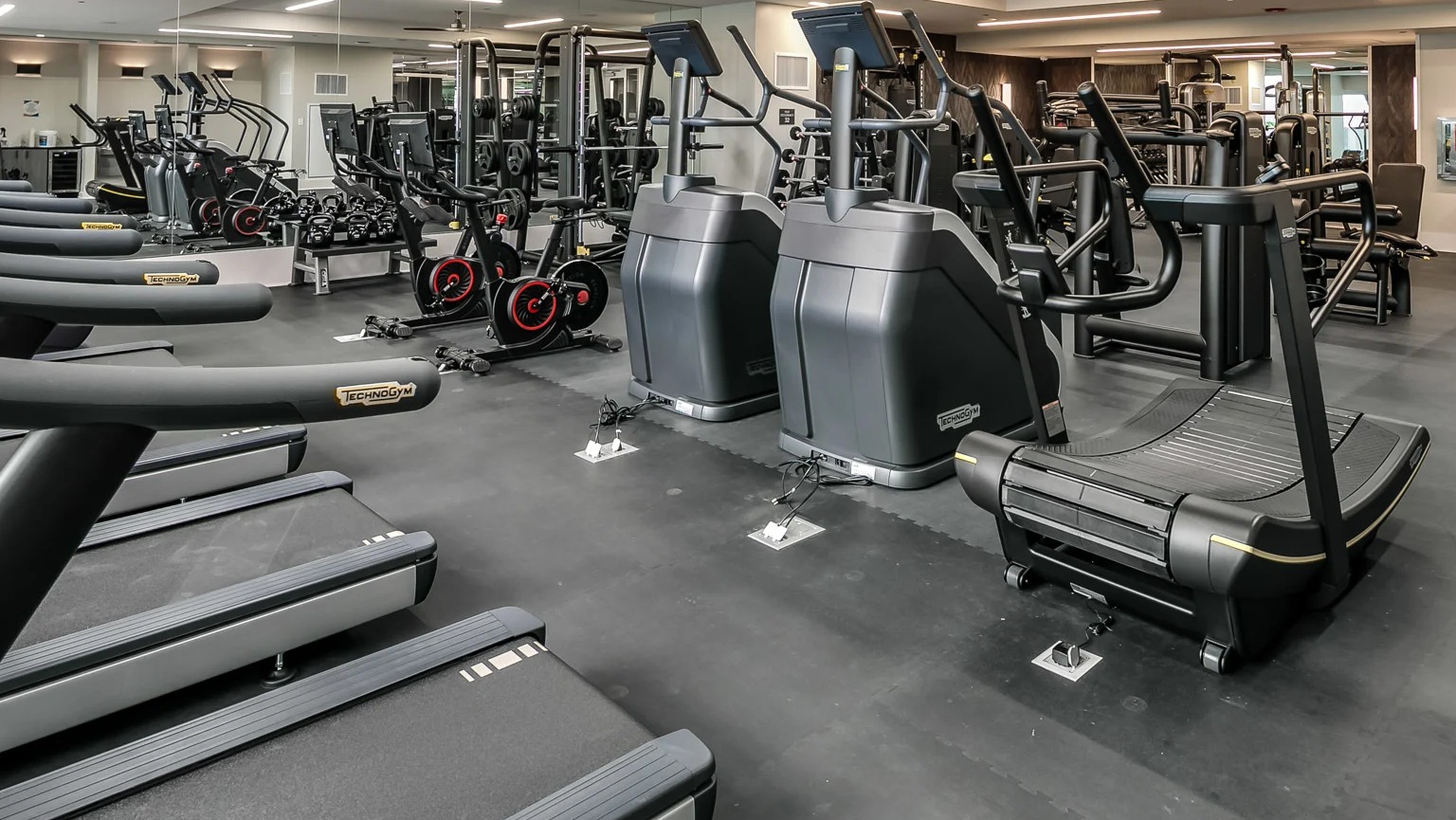 Expansive cardio fitness center at The Grand Central Apartments in Chicago, featuring treadmills, ellipticals, and modern exercise machines