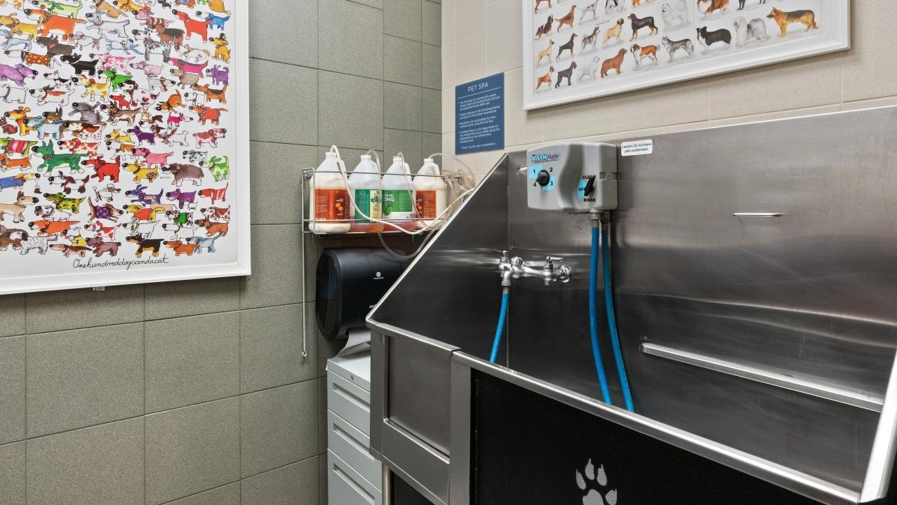 Dedicated pet spa featuring a professional dog wash station and charming animal-themed artwork at Hubbard Place in Chicago
