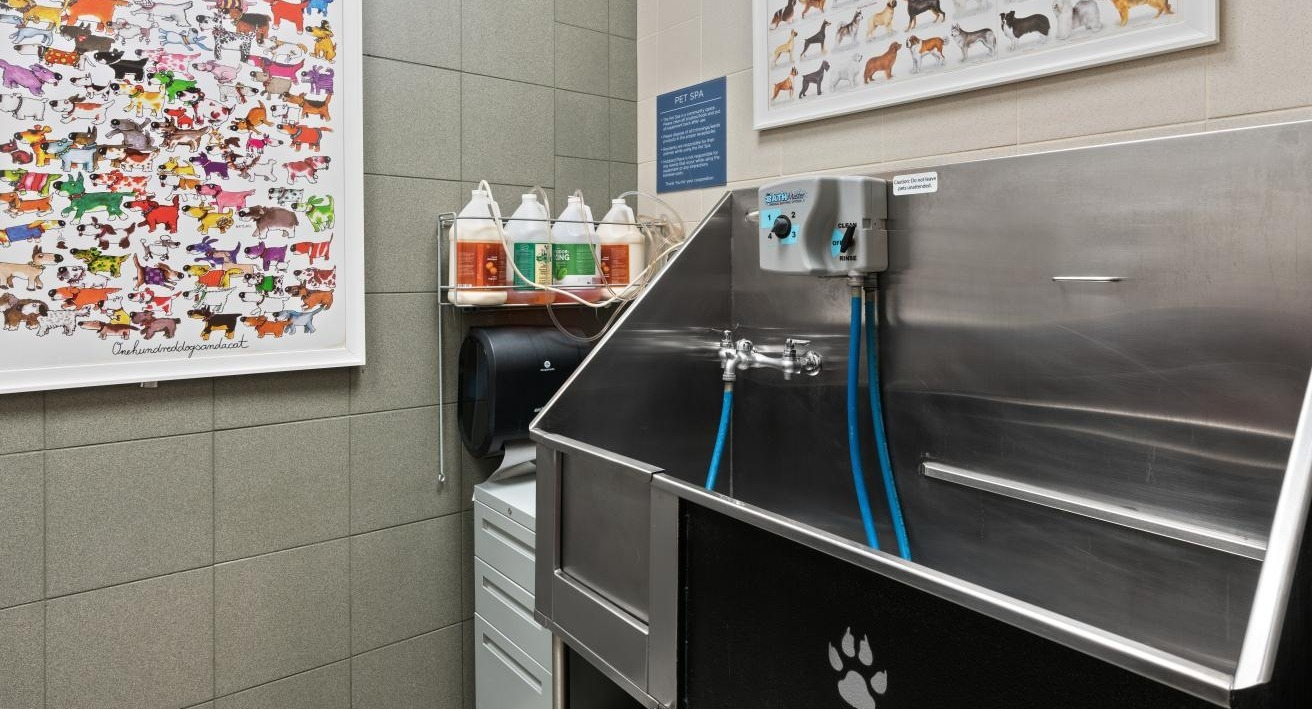 Dedicated pet spa featuring a professional dog wash station and charming animal-themed artwork at Hubbard Place in Chicago