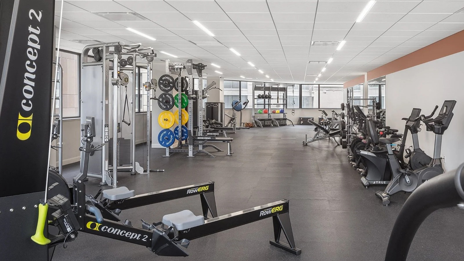 Comprehensive fitness center with various weight training machines and rowing equipment at Lake Shore Plaza Chicago