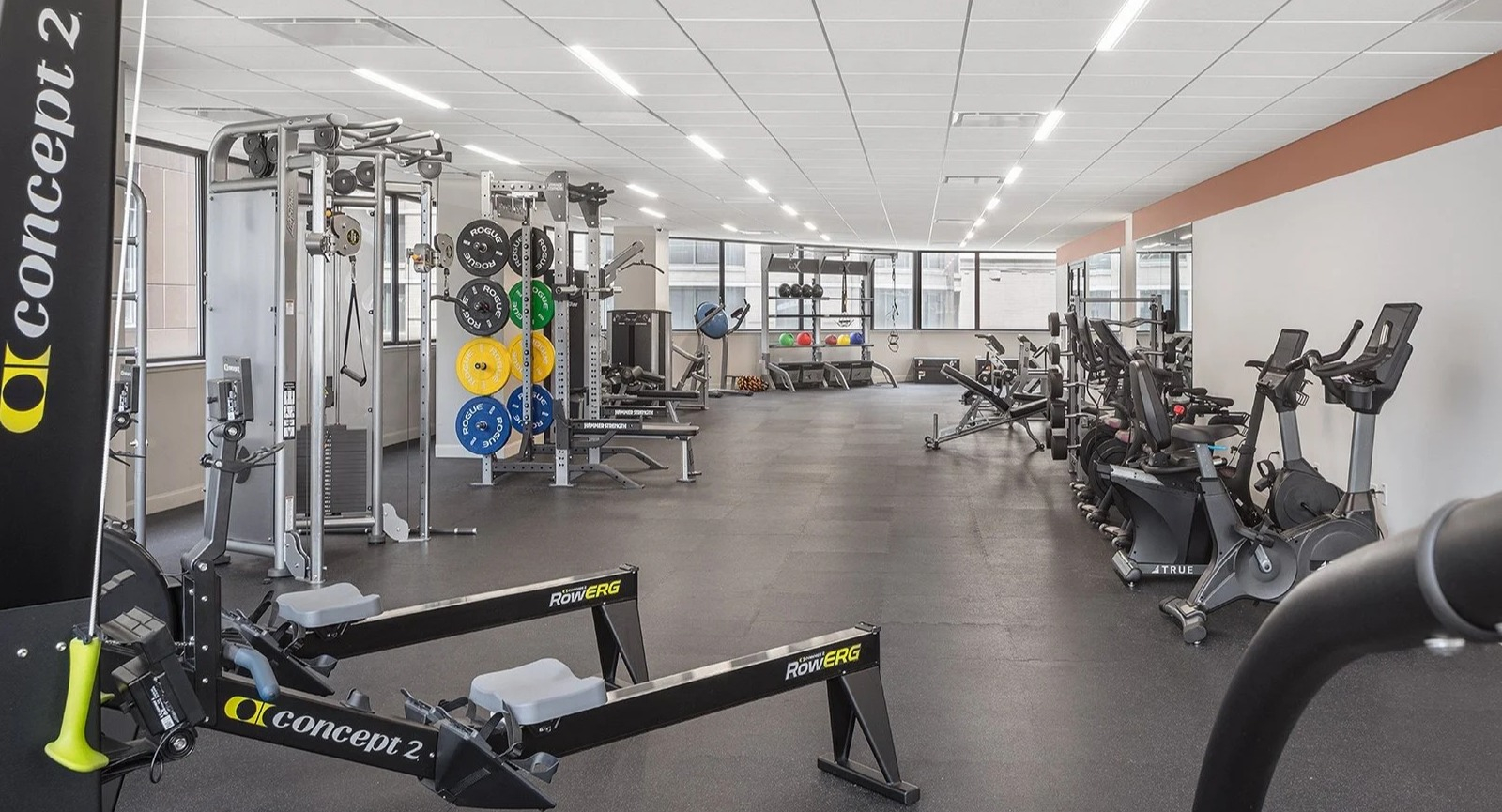 Comprehensive fitness center with various weight training machines and rowing equipment at Lake Shore Plaza Chicago