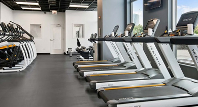 Modern fitness center with a wide range of cardio equipment and large windows at Left Bank apartments in Chicago