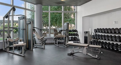 Comprehensive gym with various strength training machines and free weights, bathed in natural light at Left Bank in Chicago