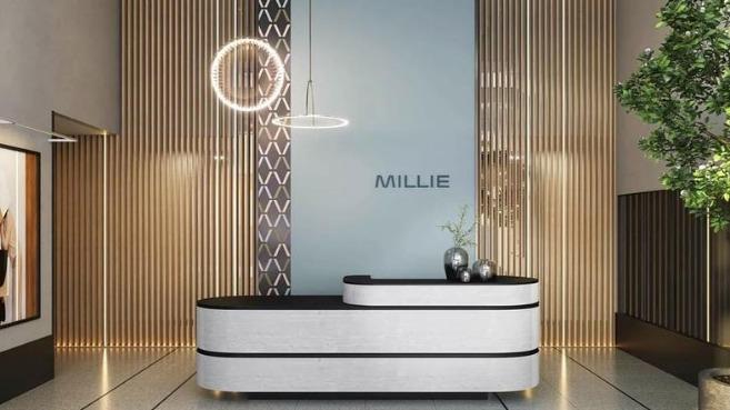 Millie on Michigan