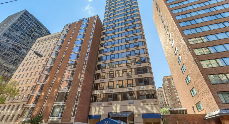 Unit #19E at 221 E Walton Pl.