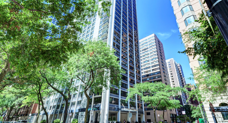 222 E Pearson Street #203
