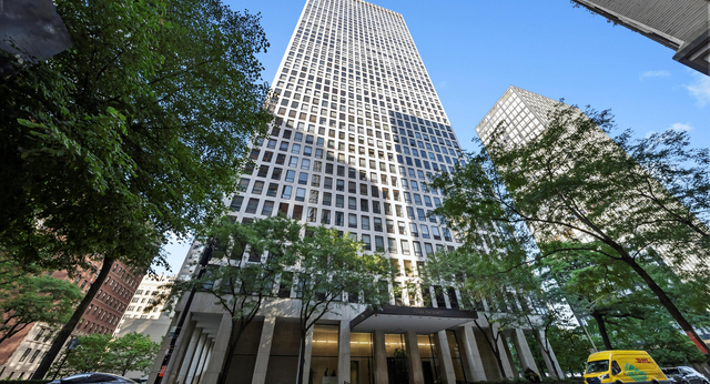 260 E Chestnut Street #1106