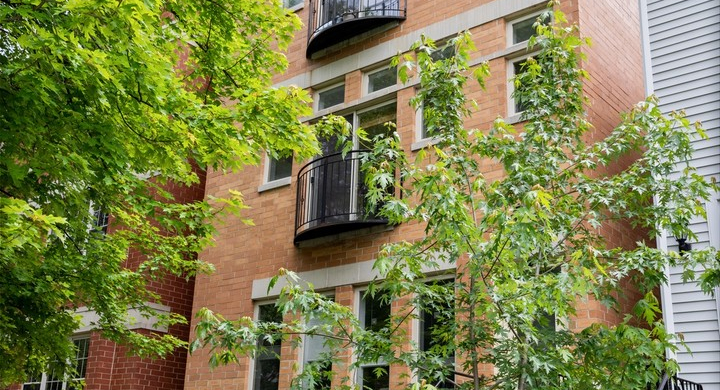 Palmer Square