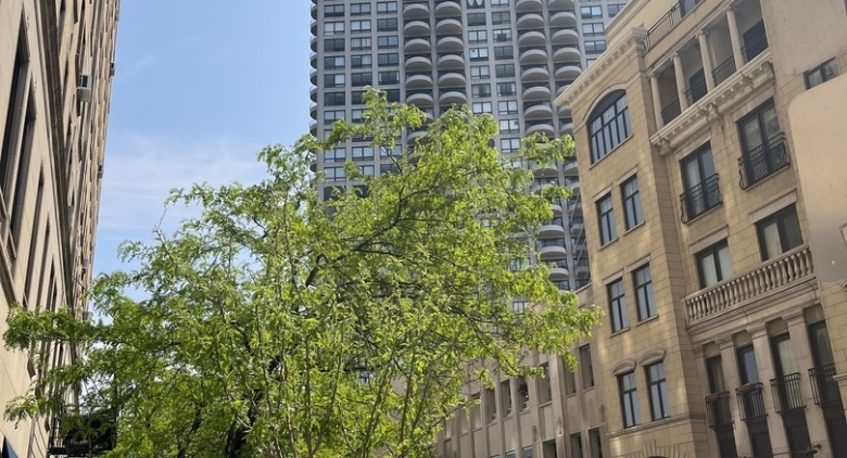 2020 N Lincoln Park West