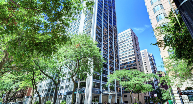 222 E Pearson Street #2406
