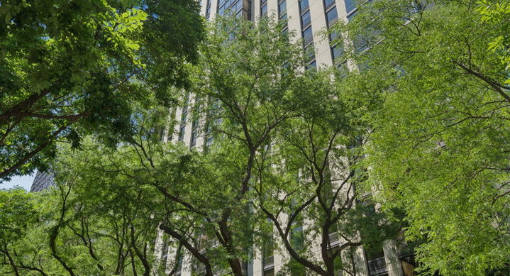 100 E Bellevue Place