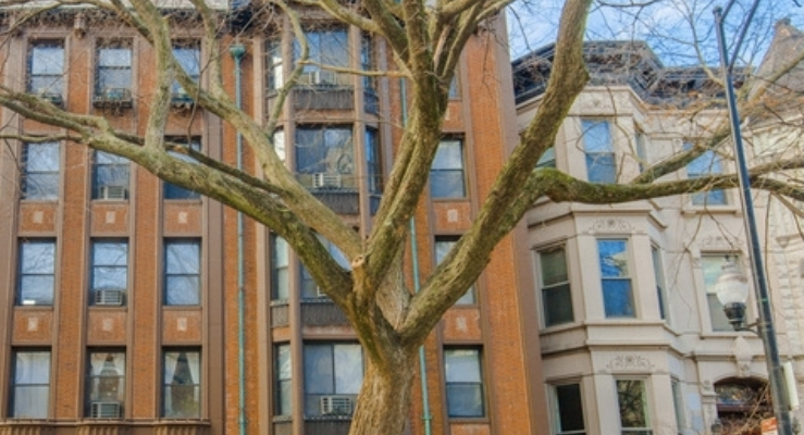 1430 N Dearborn Parkway #502