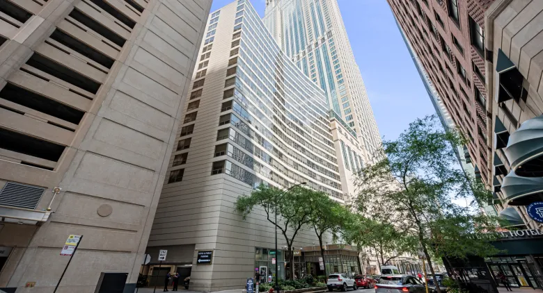 Unit #2002 at 110 E Delaware Pl.