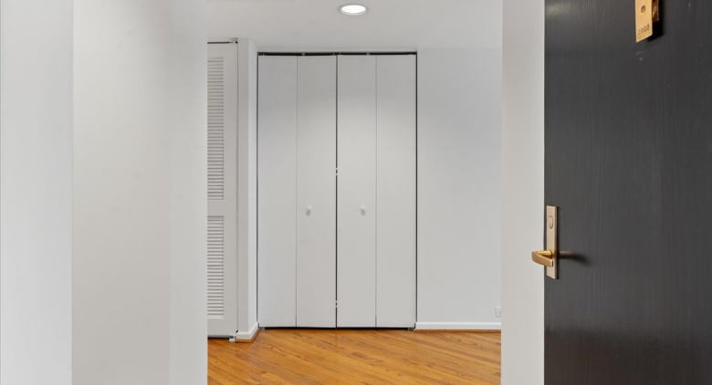 Streeterville apartment for rent