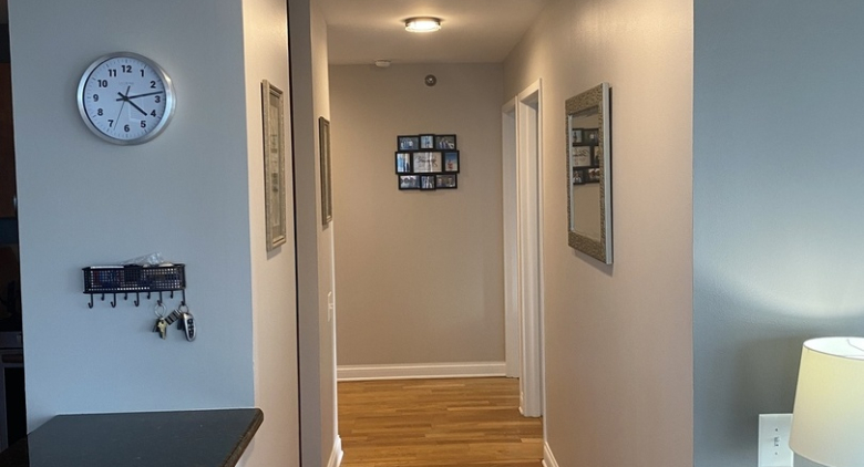 Streeterville apartment for rent