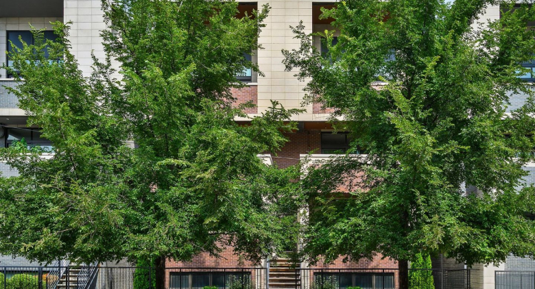 Fulton Market apartment for rent
