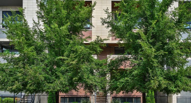 1224 W Ohio St.