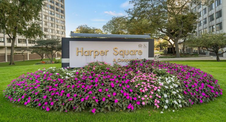 Hyde Park apartment for rent