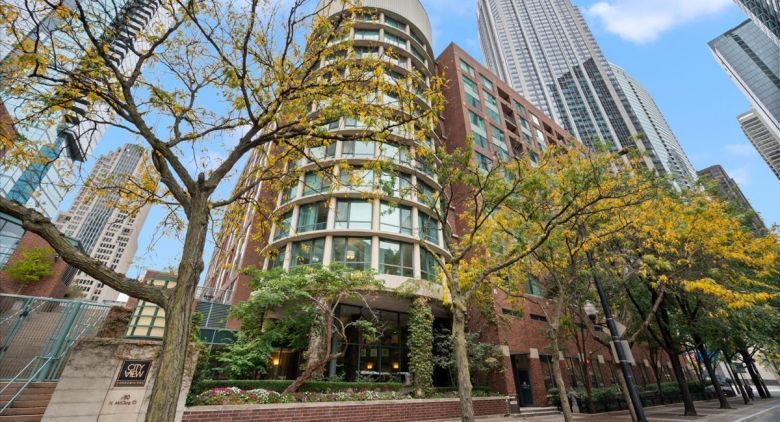 Streeterville apartment for rent