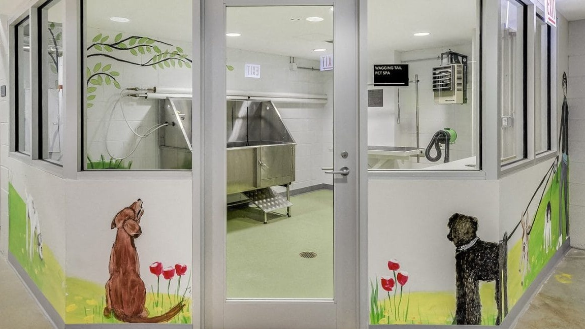 Dedicated pet spa and dog wash station at Moment Apartments in Chicago, featuring a spacious tub and playful wall art for your furry friends