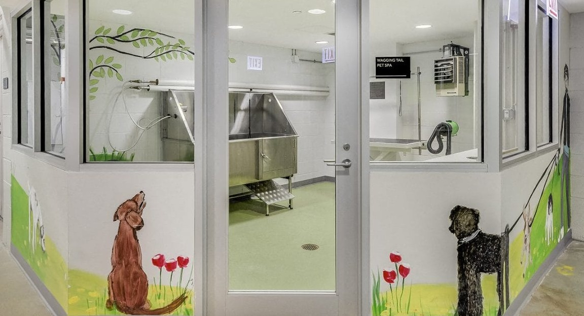 Dedicated pet spa and dog wash station at Moment Apartments in Chicago, featuring a spacious tub and playful wall art for your furry friends