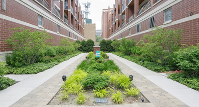 Charming exterior walkway at Monroe Aberdeen Place in Chicago, surrounded by brick buildings, lush greenery, and a clear sky