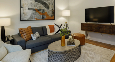 Elegant apartment living room at Monroe Aberdeen Place in Chicago, featuring a comfortable sofa, modern TV console, and stylish decor