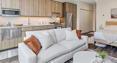 Open-concept studio apartment at Nevele22 in Chicago, featuring a comfortable living area, modern kitchen, and a cozy bedroom nook