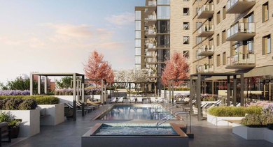 Lush rooftop pool terrace featuring a swimming pool, hot tub, and comfortable lounge seating surrounded by greenery at North+Vine in Chicago