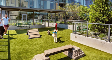 Outdoor rooftop dog park with agility ramps, artificial turf, and views of the city skyline at OLD TOWN PARK ONE in Chicago