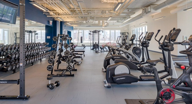 Extensive gym facility with a wide range of free weights, strength training equipment, and cardio machines at OLD TOWN PARK ONE in Chicago