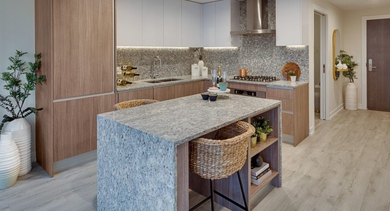 Modern kitchen featuring a large granite island with storage, wood cabinetry, and stainless steel appliances at OLD TOWN PARK ONE in Chicago