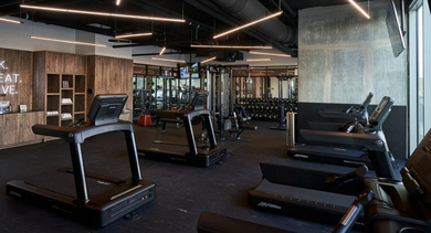 Modern fitness center with treadmills, ellipticals, and a motivating "WORK. SWEAT. ACHIEVE" wall at OLD TOWN PARK THREE in Chicago