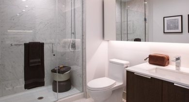 Luxurious bathroom with a large walk-in shower, modern vanity, and sleek finishes at OLD TOWN PARK TWO Chicago