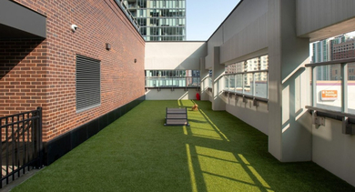 Dedicated pet-friendly outdoor turf area for residents, offering a clean space for pets at OLD TOWN PARK TWO Chicago
