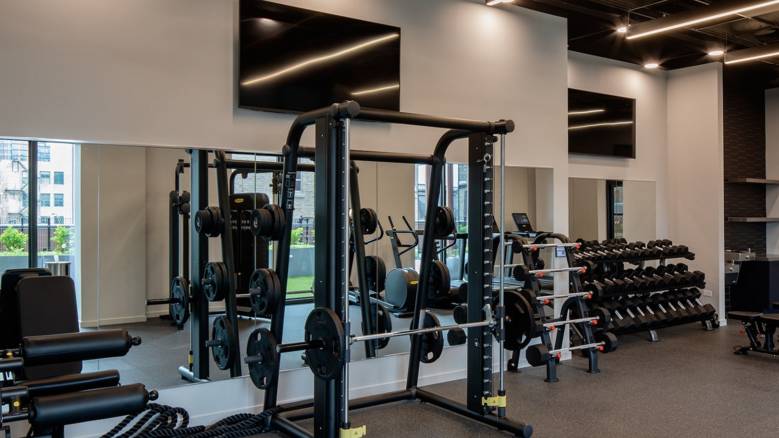 Dedicated strength training area in the gym with racks, benches, and a wide selection of free weights at One Six Six