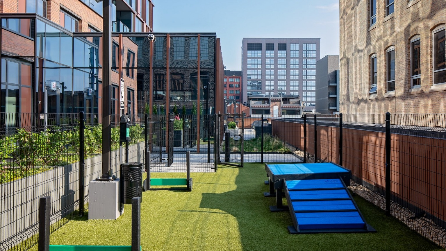 Outdoor pet park with artificial turf, agility equipment, and secure fencing, perfect for pets at One Six Six