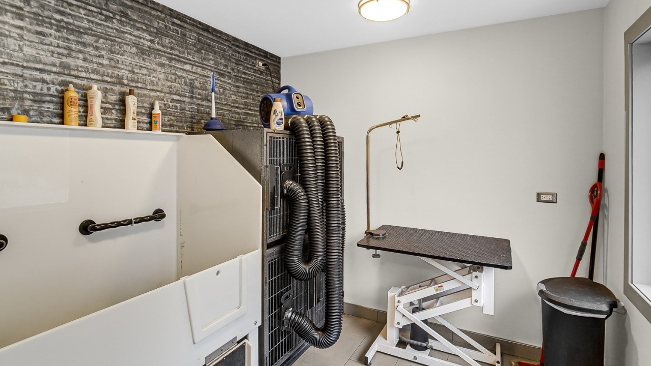 Dedicated pet grooming station with washing area and drying equipment at One Superior Place apartments in Chicago