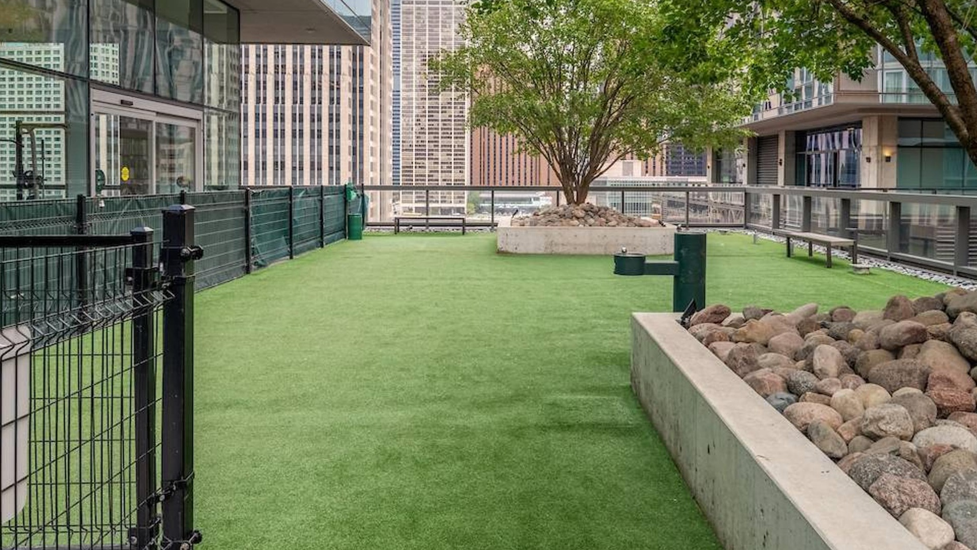 Outdoor dog park with fenced green turf, trees, and city views designed for residents at Optima Signature apartments in Chicago