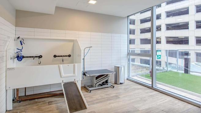 Residences at 8 East Huron