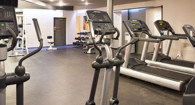 A well-appointed gym with a variety of cardio equipment including treadmills and ellipticals, and a selection of free weights at River West Lofts in Chicago