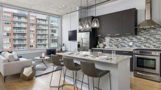 Roosevelt Collection Lofts