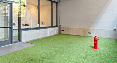 Convenient outdoor dog run at Sage West Loop Apartments in Chicago, featuring artificial turf and a fire hydrant for pets