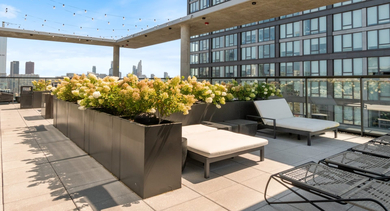 Expansive rooftop sun deck at Sage West Loop Apartments in Chicago, featuring lounge chairs, greenery, and stunning city views