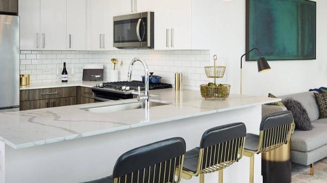 Sentral Michigan Avenue | Chicago Apartments