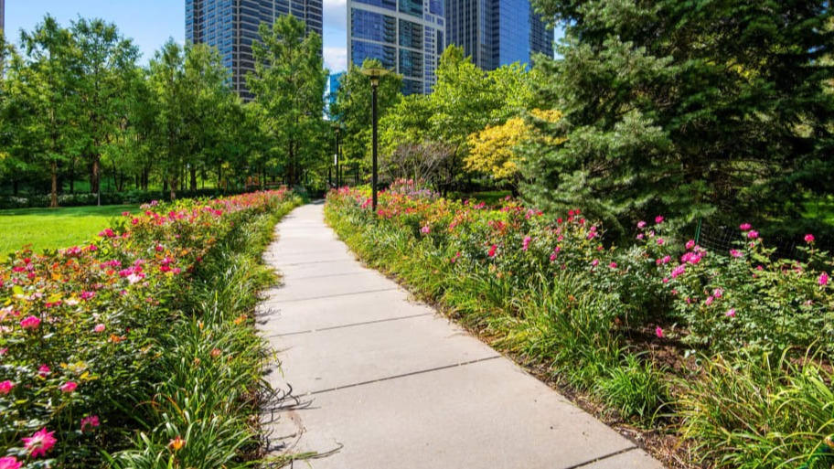 Pathway lined with flowers and trees in Lakeshore East Park near Shoreham and Tides apartments in Chicago, offering easy outdoor green space