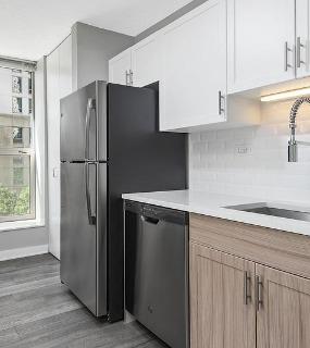 Contemporary kitchen with sleek cabinetry at Shoreham and Tides apartments in Chicago