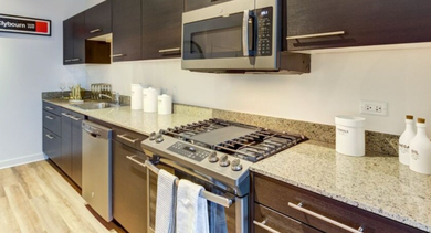 Contemporary kitchen with dark wood cabinets, granite countertops, stainless steel appliances, and a gas range at SoNo East Apartments in Chicago