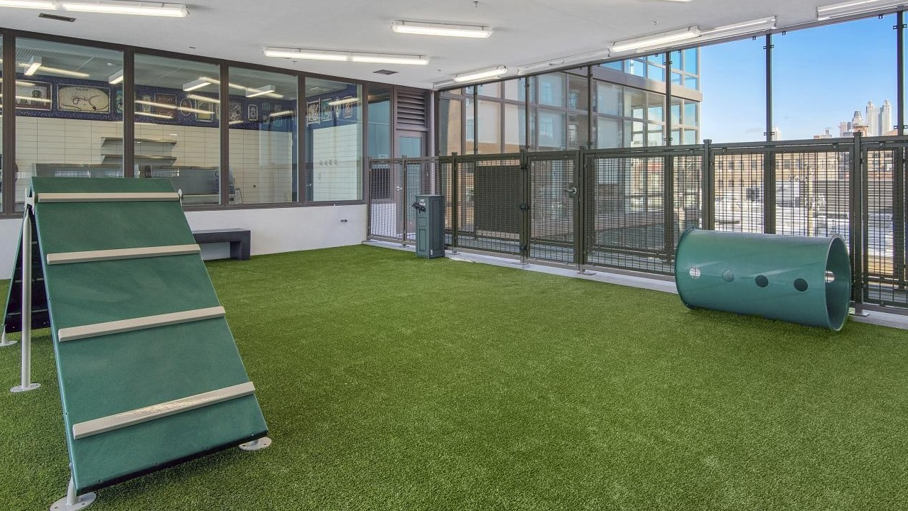 An indoor dog park and run at Spoke Apartments in Chicago, featuring agility equipment and city views